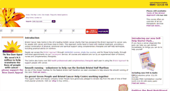 Desktop Screenshot of bristolcancerhelp.org
